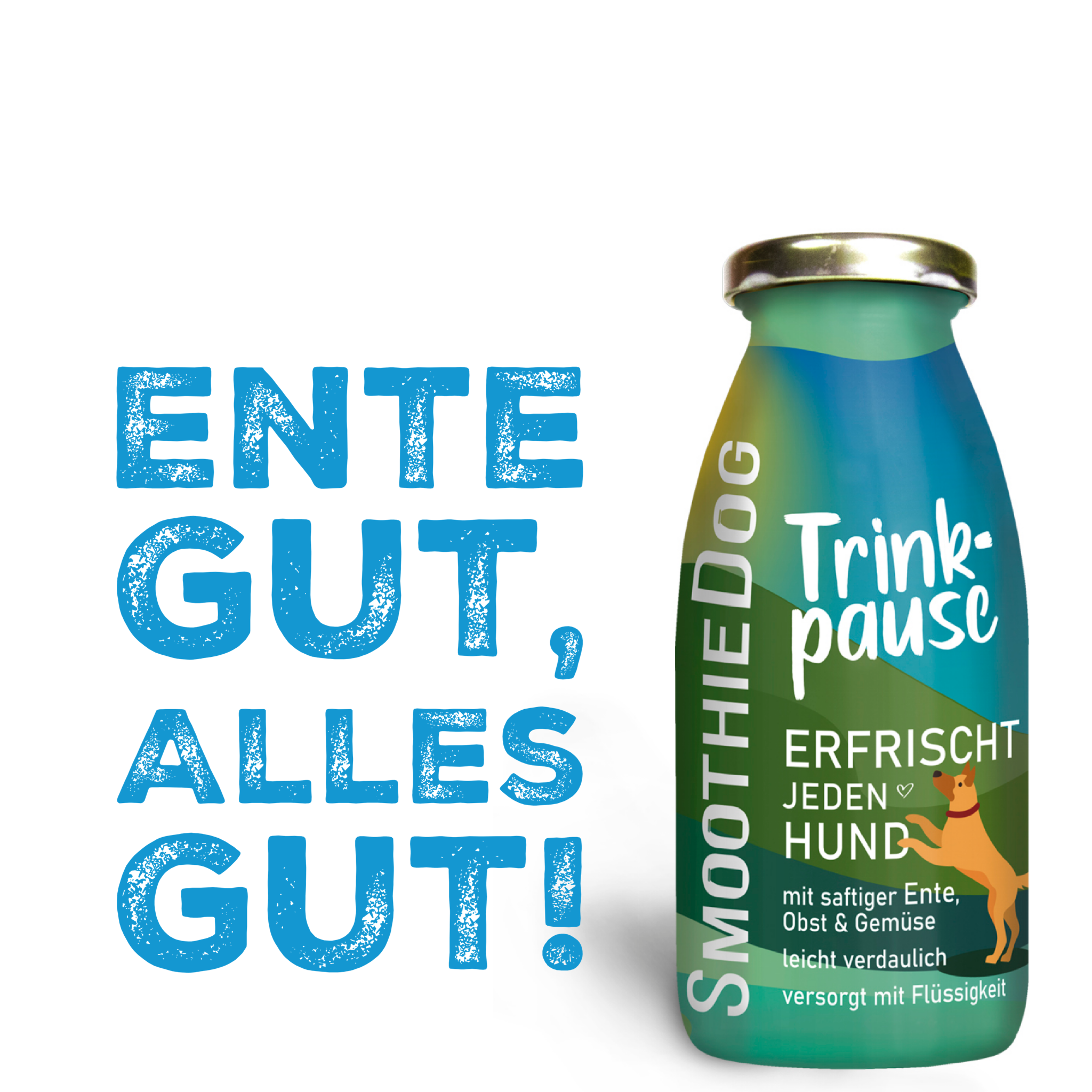 Smoothie TRINKPAUSE (Ente)