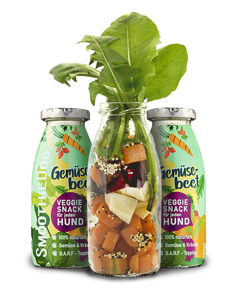 Smoothie GEMÜSEBEET (Veggie)