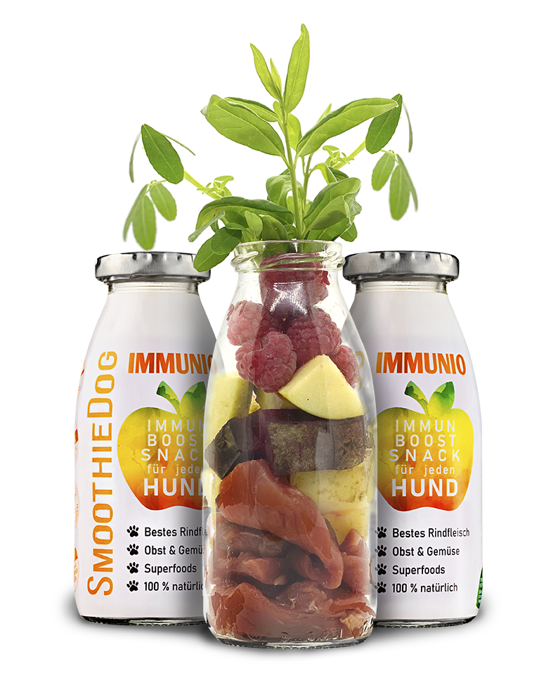 Smoothie IMMUNIO (Rind)
