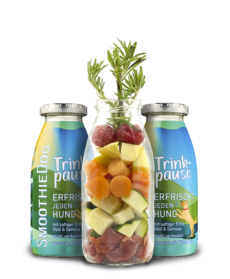 Smoothie TRINKPAUSE (Ente)