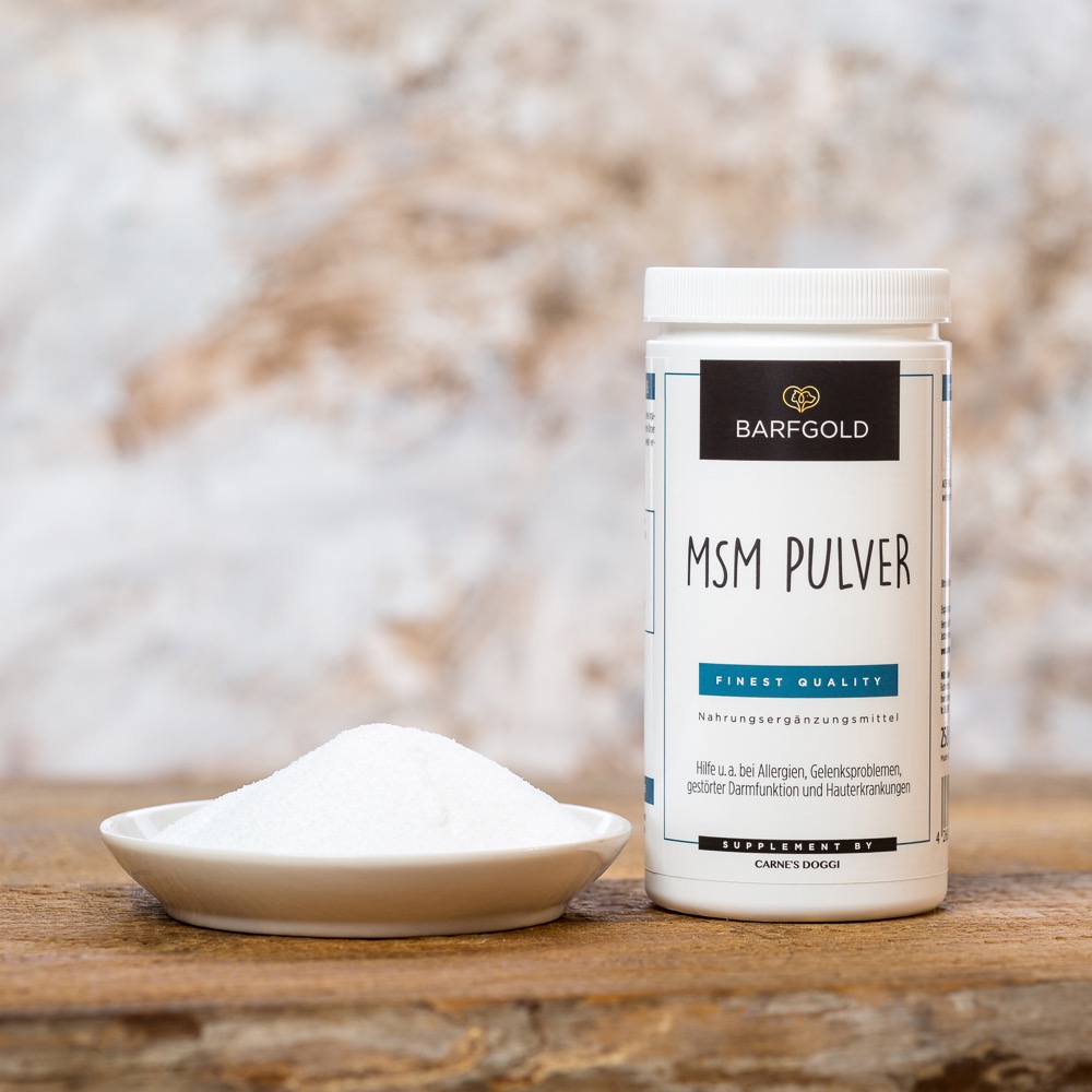 MSM Pulver