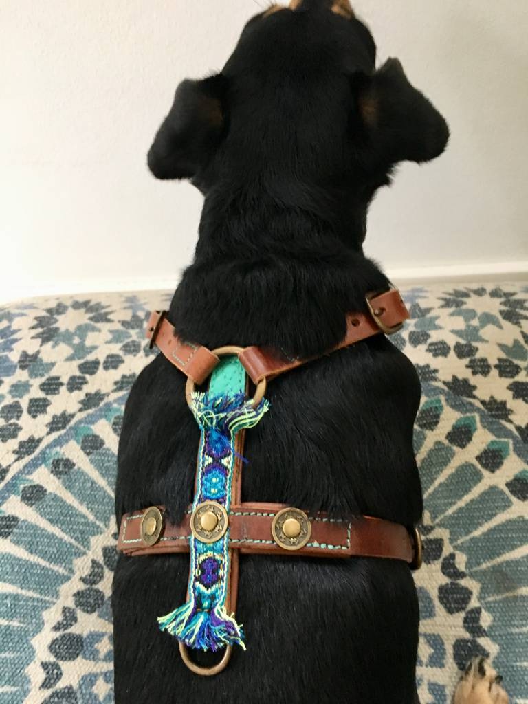 Hundegeschirr JUAN