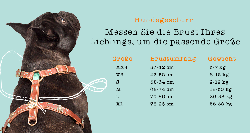 Hundegeschirr ROCK