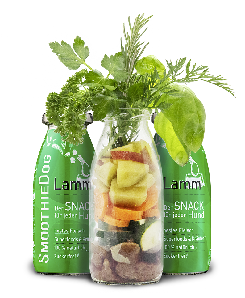 Smoothie LAMM